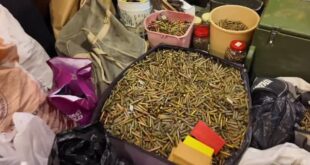 الأسلحة النارية غير المرخصة المُسلَّمة خلال المهلة الاستثنائية: تعاون يعزز الأمن والسلامة